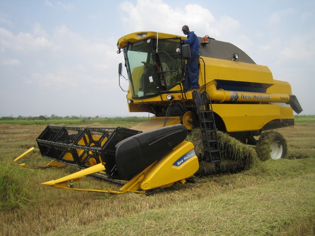 agriculture